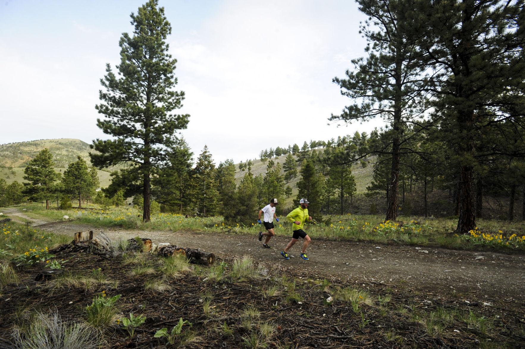 2017 Don't Fence Me In trail run